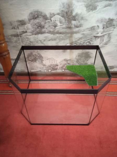 Аквариум в Белово фото 3