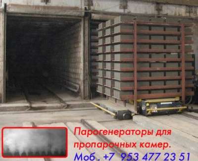 Парогенераторы промышленные в Москве фото 3