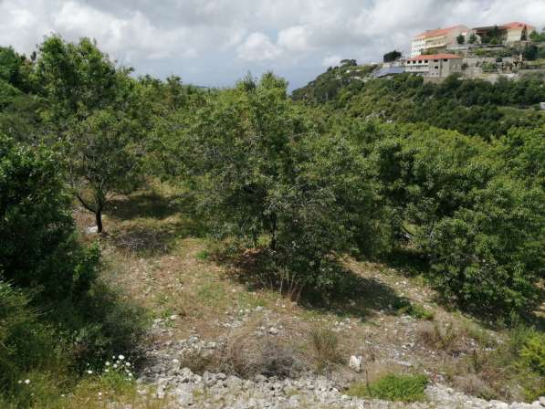 Land for sale in Lebanon, close to the sea, and quiet area в фото 3