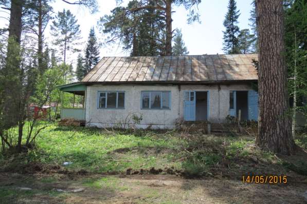 Продам дом и земельный участок в сосновом бору! в Новокузнецке фото 5