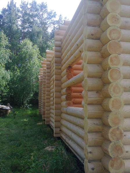 Производим бревно оцилиндрованное в фото 15