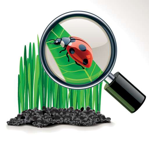 Репетитор по биологии