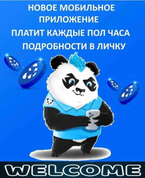 Мессенджер Puk Panda в Екатеринбурге фото 5