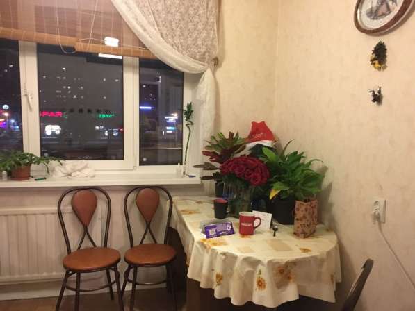 1 к квартира у метро Пр просвещения в Санкт-Петербурге фото 17