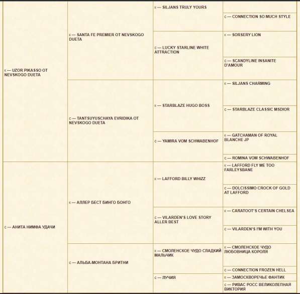 Малышка Папийон в Саратове фото 3