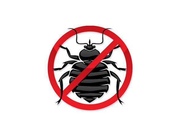 Дезинфекция Дезинсекция Дератизация Пест-контроль в Туле фото 11