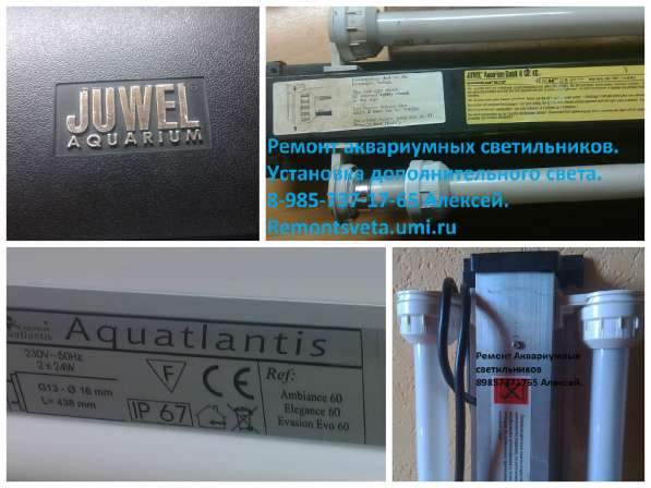 Ремонт светильников для аквариума Aquatlantis в Москве фото 10