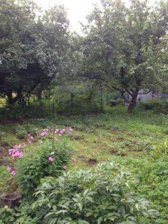 Дача в Ногинске фото 4