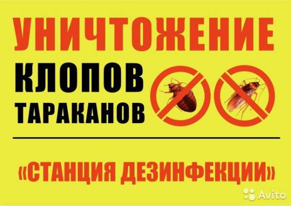 Уничтожение клопов, тараканов, мышей, крыс. Продажа средств в Санкт-Петербурге фото 8