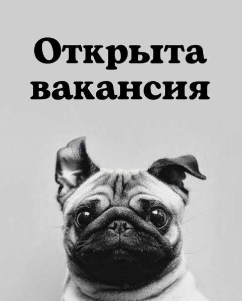 Администратор Инстаграм