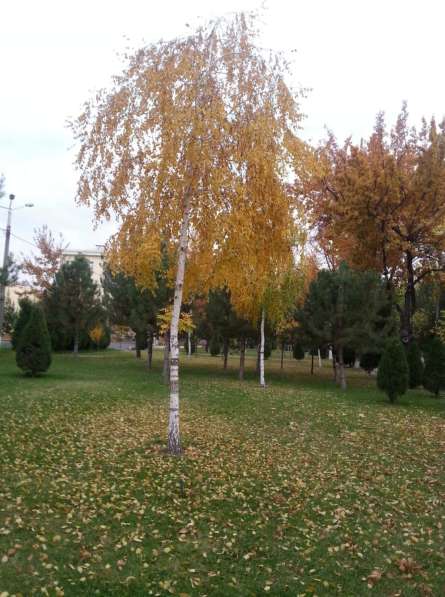 3х-комнатная квартира в центре, Ц-4 в фото 8