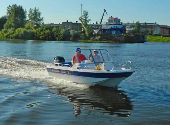 Купить лодку (катер) Wyatboat-430 DC