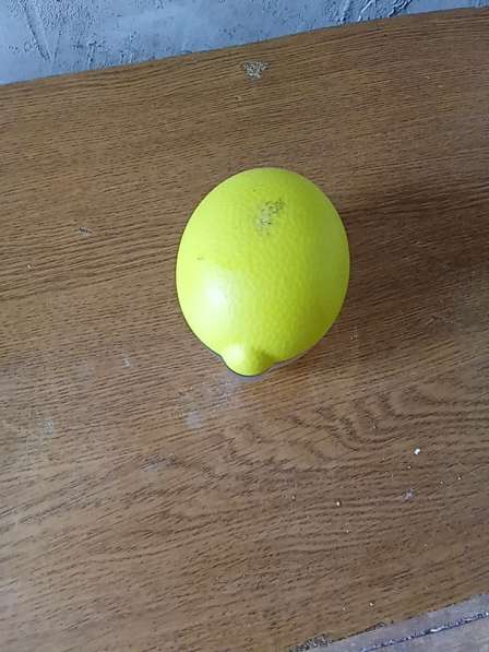 Продам лимонница продам лимонница хорошую в Новосибирске