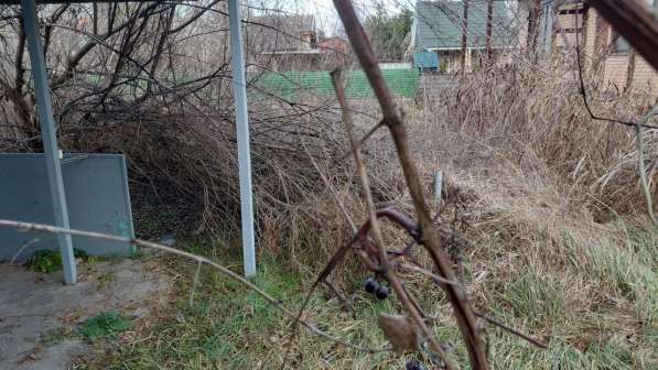 Расчистка участков в Краснодаре фото 5