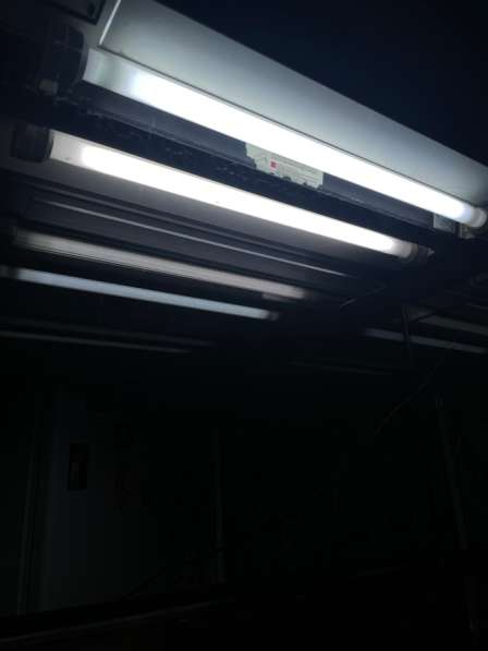 Аквариум в Южно-Сахалинске фото 4