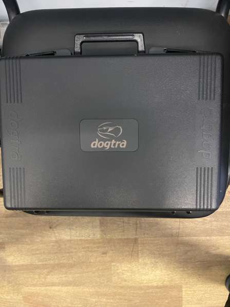 Электронный ошейник для собак