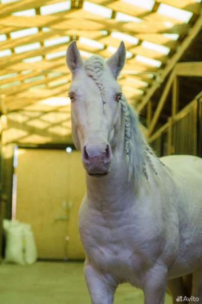 Продам участок, отличное расположение и красивая природа в Тюмени фото 5