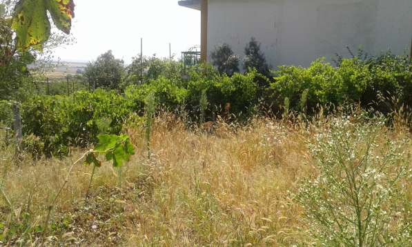 Срочно Продам дом (дача) в фото 3