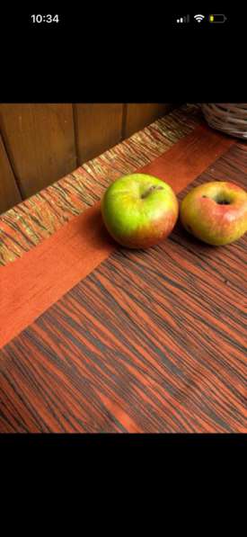 Дача СНТ ФИАЛКА в Омске фото 10