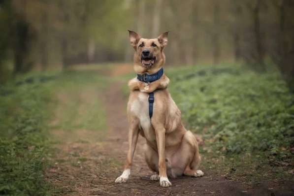 Лавр ищет дом в Москве фото 51