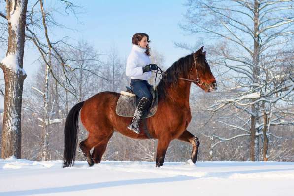 Подарок-впечатление от конного клуба "Центавр" в Нижнем Новгороде фото 3