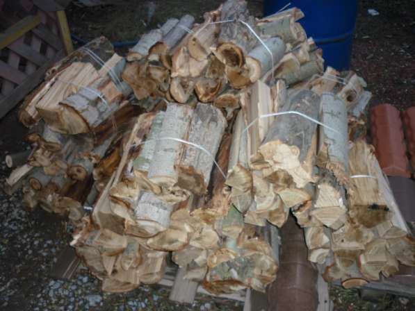 Продам дрова различных пород