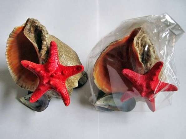Сувениры в асортименте из морских раковин в Симферополе фото 6