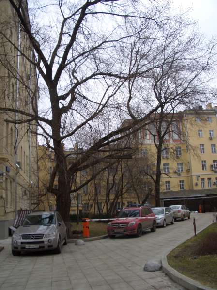 Квартира 45 м., м. Смоленская в Москве фото 3