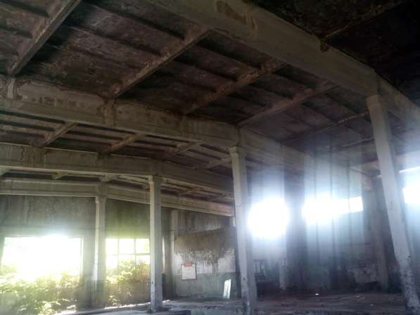 В Грузии, в Телави в фото 16