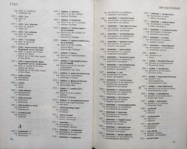 Русско-испанско-английский словарь по морфологии человека в фото 7