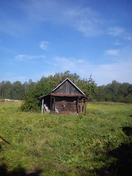 Продажа деревянного дома с земельным участком в фото 7
