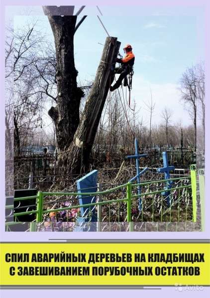Удаление деревьев любой сложности в Воронеже фото 5