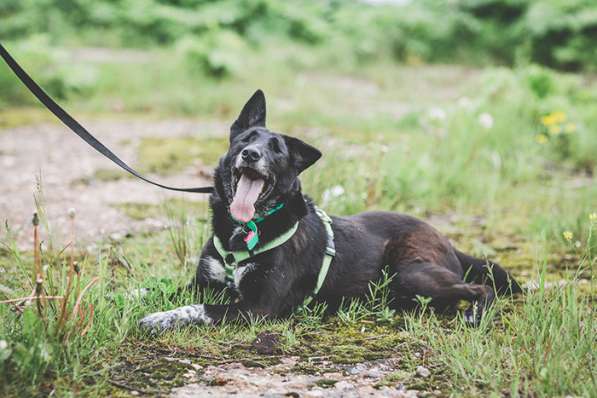 Уникальная Шерри в поисках своего Человека