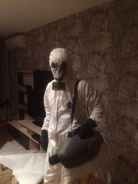 Уничтожим тараканов или вернем деньги в Москве фото 4