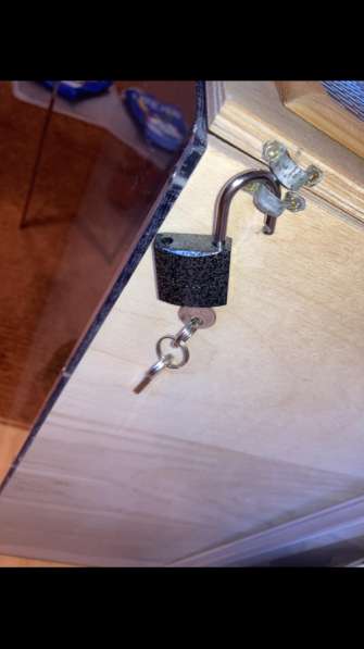 Витрина для хомяка бу 90х50х50 в Санкт-Петербурге фото 3