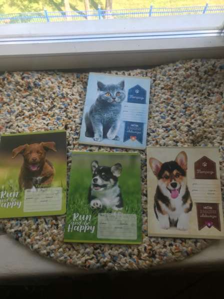 Продам тетради школьные