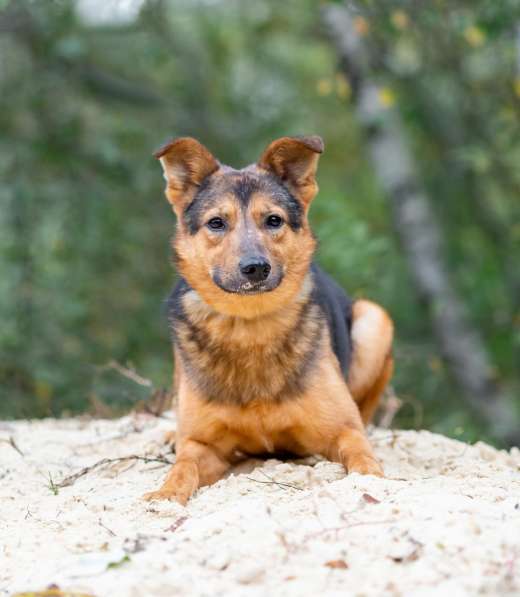 Алекс, молодой, некрупный парень-стесняшка ищет дом