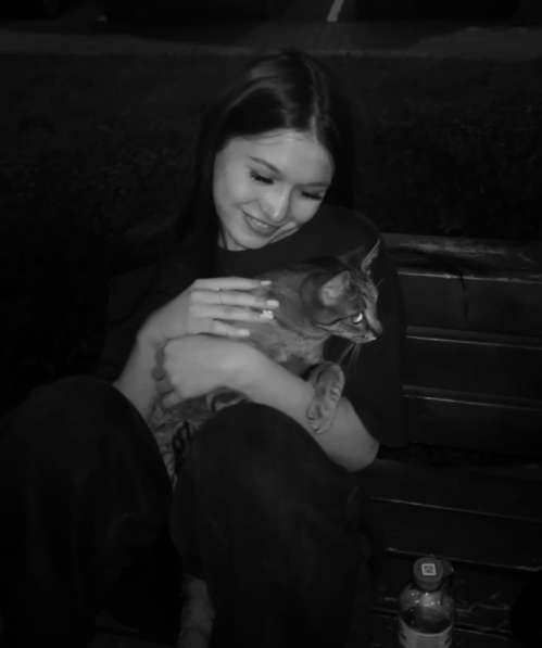 Выгул собак, передержка кошек