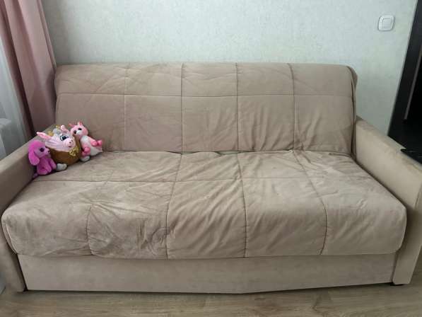 Отдам за шоколадку в Твери