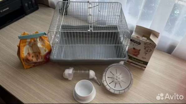 Клетка для грызунов в Новокубанске фото 3