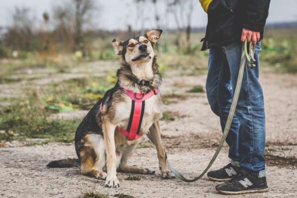 Нежнющий Купер в Москве фото 31