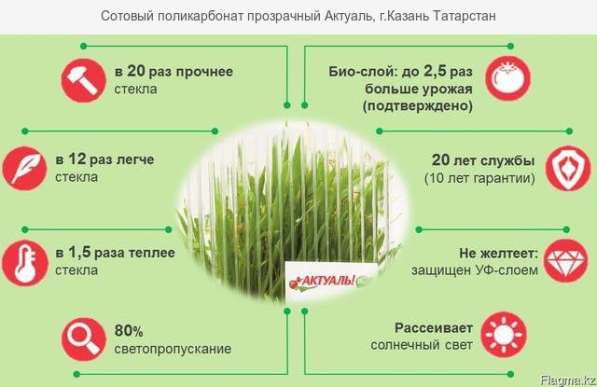 Теплицы из сотового поликарбоната в Актобе в фото 4