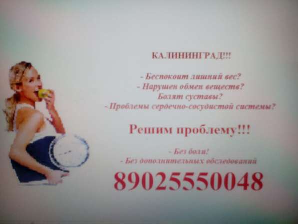 Кто ищет работу в Калининграде