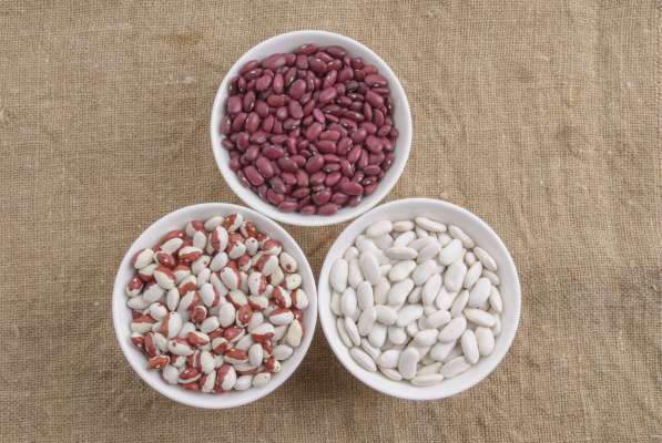 Natural Beans from Kyrgyzstan 2018 New Crop 100% в фото 4
