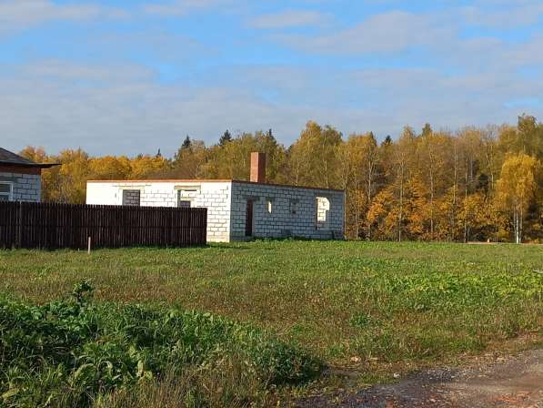 Лесная местность считается лучшей под застройку дома. Купи! в Москве фото 3