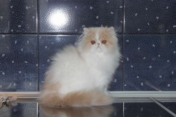 ГУЧЧИ в Москве фото 8