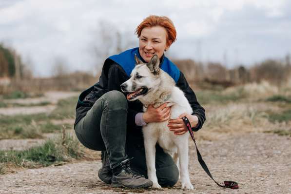 Суперактивная Халва в Москве фото 38