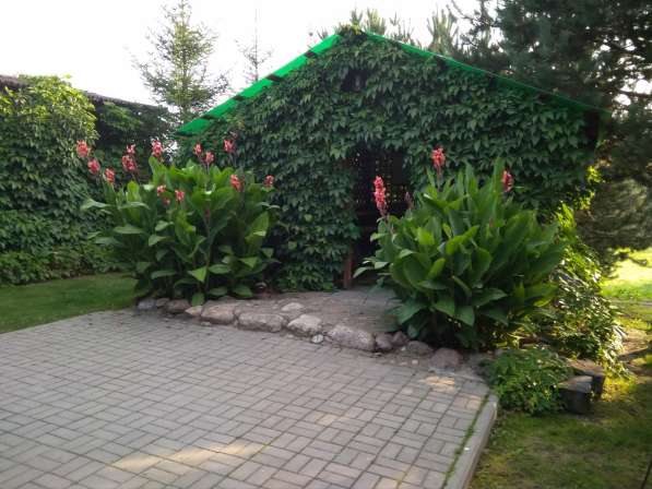 Агроусадьба под Минском на ЧМ в фото 14