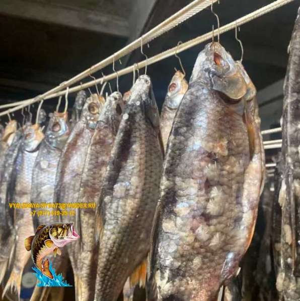 Рыба вяленая и сушена Сорожка по цене 350 руб./кг в Москве фото 3