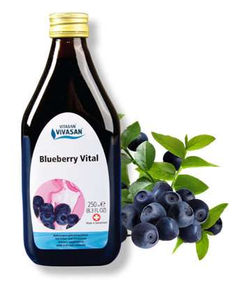 Черника витал (Blueberry Vital) Dr. Dunner AG